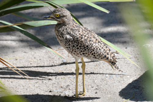 World of Birds Wildlife Sanctuary.